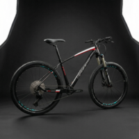 Rower MTB Carbon Lucky 7 Ultralight