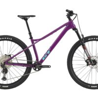 GT ZASKAR LT 29" PRO (G26103M10/RAS)